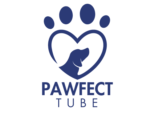 pawfecttube.com